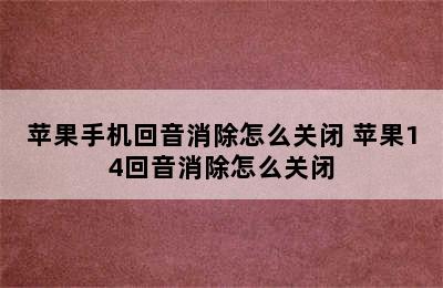 苹果手机回音消除怎么关闭 苹果14回音消除怎么关闭